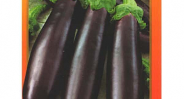 Popis odrůdy lilku krále trhu f1, vlastnosti pěstování a péče